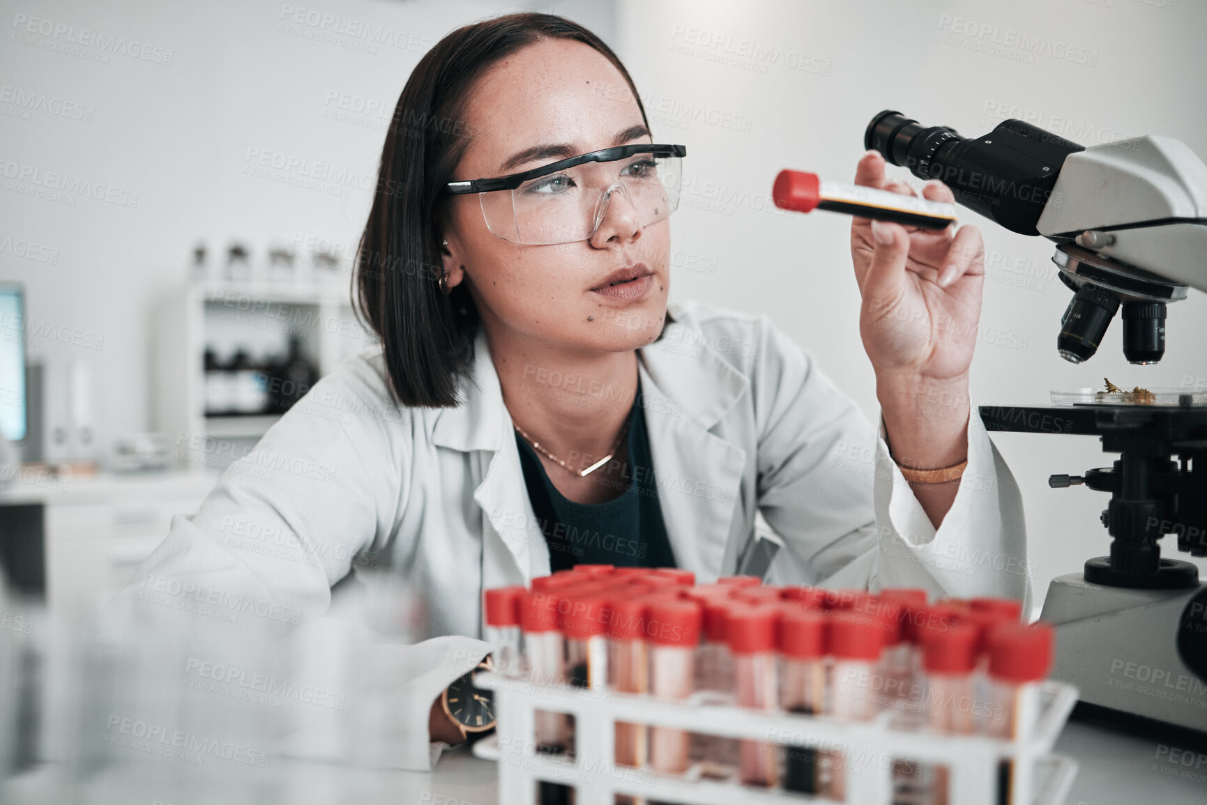 Buy stock photo Scientist, woman and blood test, microscope or laboratory research for DNA, virus analysis or medical study. Professional science or asian person in biotechnology, glasses or check red liquid in tube