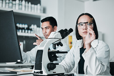 Buy stock photo Scientist, woman and analysis of cannabis in laboratory for science study, marijuana review or medical research. Cbd, person and weed bud check for scientific experiment with microscope and focus