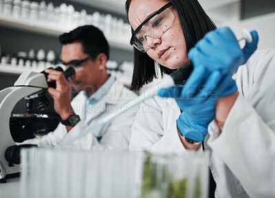 Buy stock photo Science, research and woman with pipette in test tube at biotech laboratory, leaf solution or medical innovation. Healthcare, lab analytics and medicine, scientist team in pharmaceutical plants study