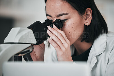 Buy stock photo Science, microscope and Asian woman in laboratory for medical study, data analysis and research. Biotechnology, healthcare and scientist looking in equipment for innovation, sample and DNA testing