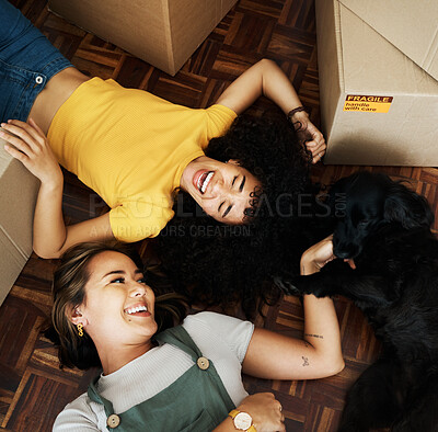 Buy stock photo New home, dog and happy couple of friends moving, relax and bond on house, real estate or property floor. Animal pet, boxes and laughing lesbian women, gay partner or homeowner people in relocation