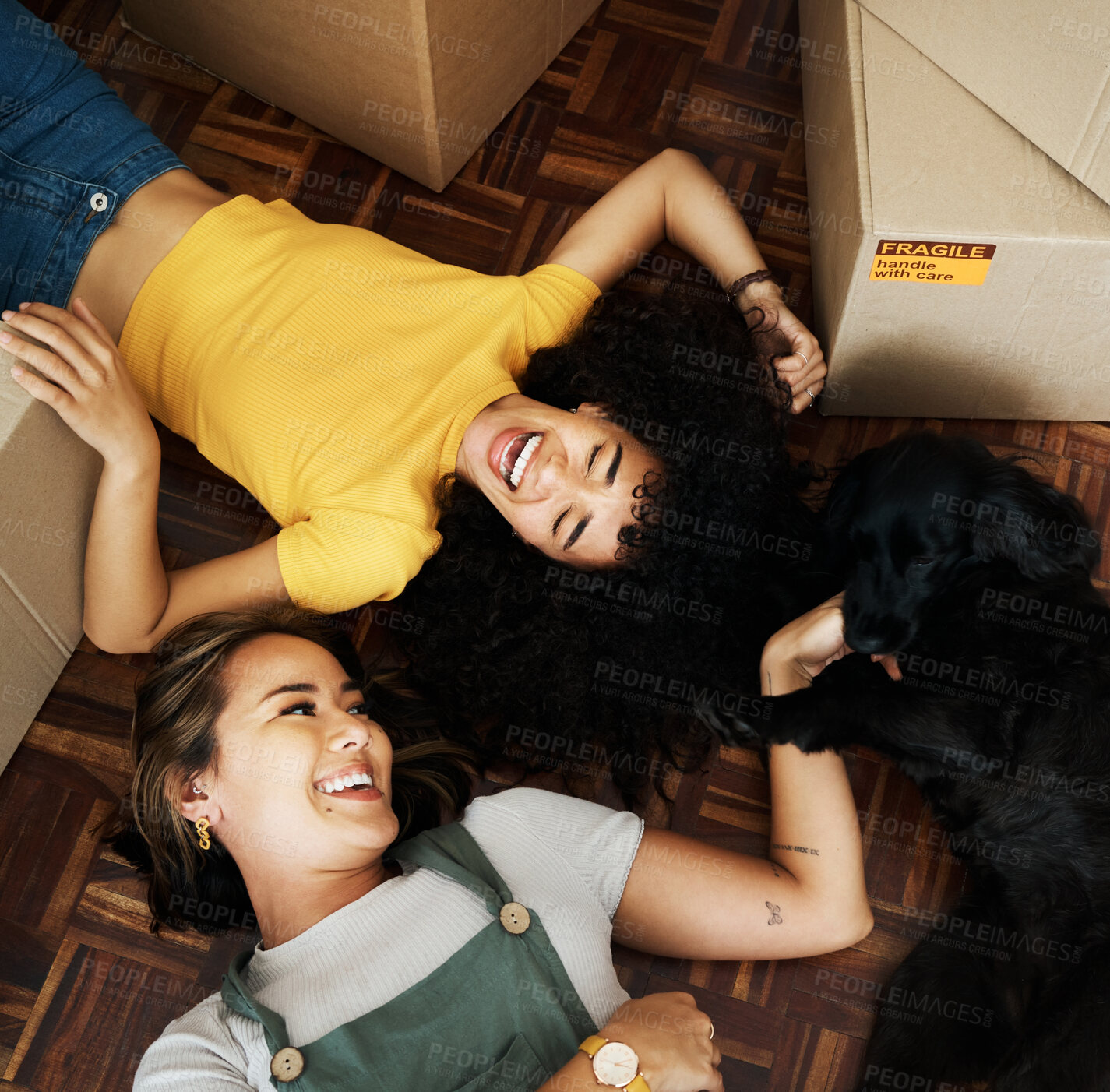 Buy stock photo New home, dog and happy couple of friends moving, relax and bond on house, real estate or property floor. Animal pet, boxes and laughing lesbian women, gay partner or homeowner people in relocation