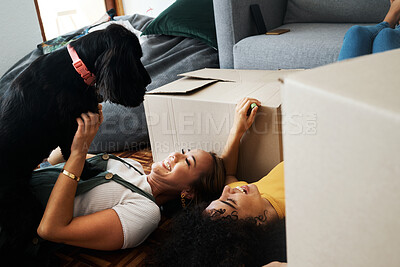 Buy stock photo Moving, boxes and couple with a dog in home, living room or women relax together on floor bonding with puppy or pet. New house, happiness or people with love for animal and investment in property