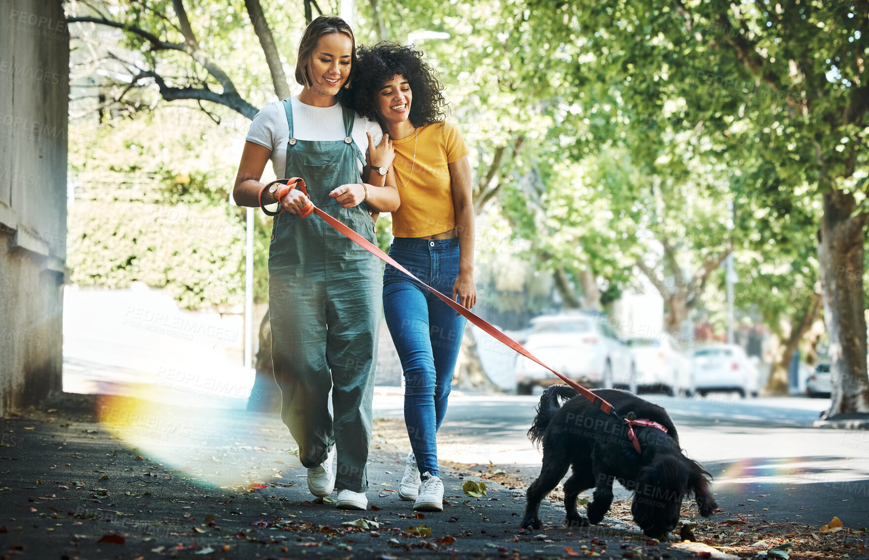 Buy stock photo Love, bonding and lesbian couple walking with dog in city street for exercise, adventure and fun. Lgbtq, animal and interracial young gay women in town road with pet puppy for fresh air together.