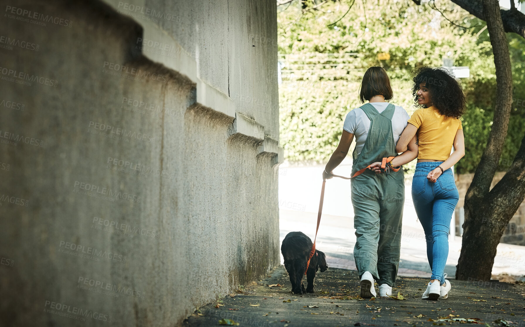 Buy stock photo Women, walking and couple with a dog in street, park or portrait outdoor in spring with pet on lead and wall mockup space. People, smile and journey with animal for exercise, wellness or happiness