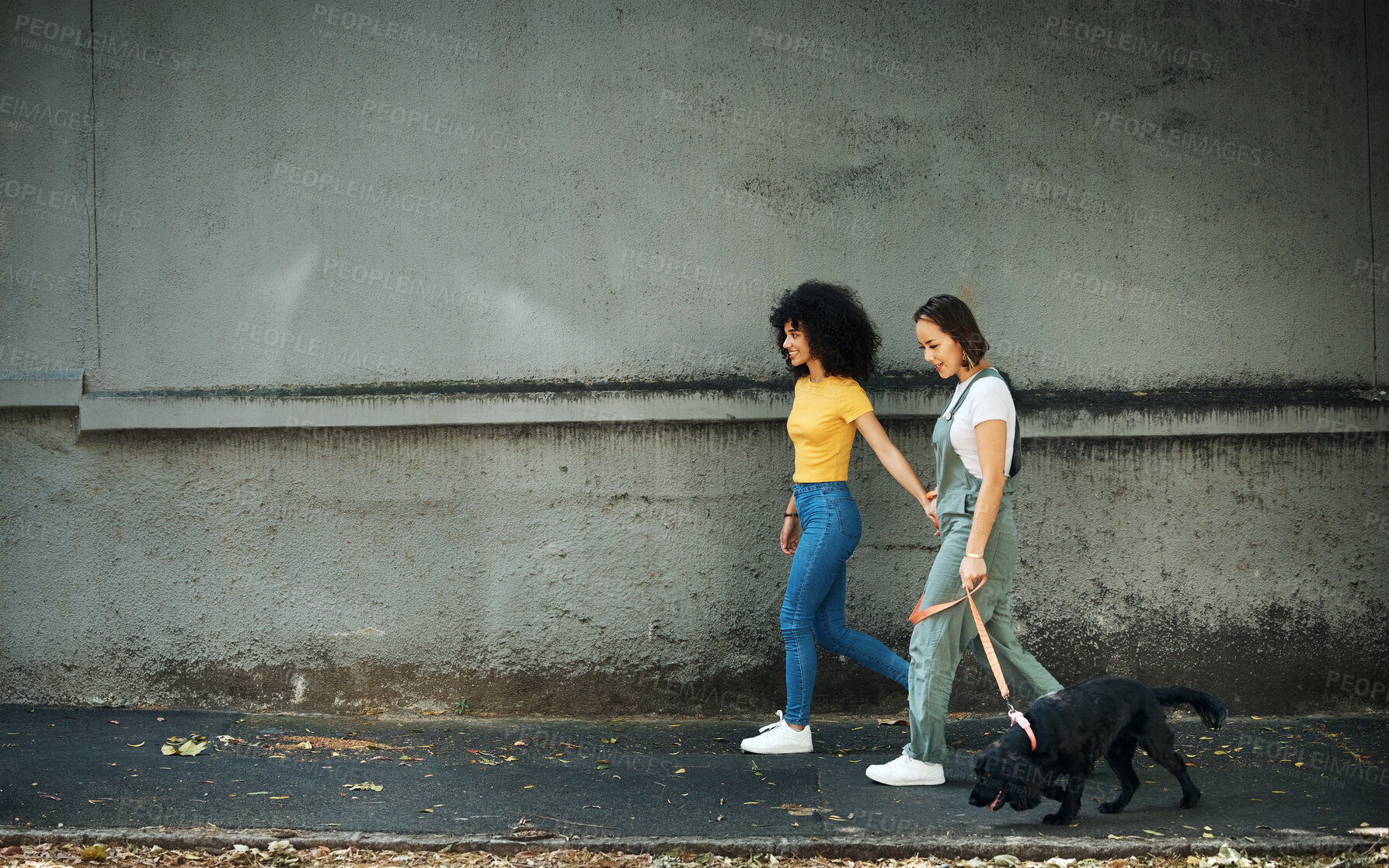 Buy stock photo Walking, women and lesbian couple with dog in city, street or holding hands with pet on lead and wall, mockup or urban space. Lgbt, people and journey with animal for exercise, wellness or happiness