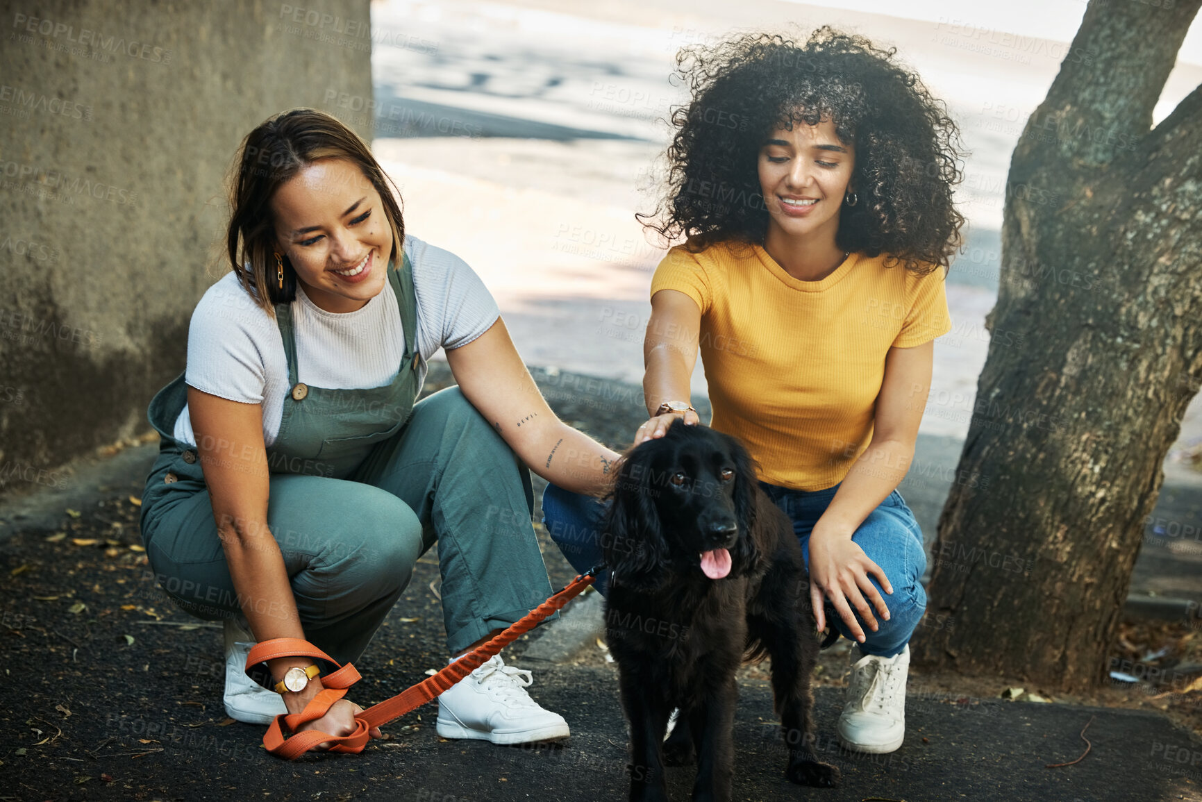 Buy stock photo Love, smile and a lesbian couple walking their dog together outdoor in the city for training or exercise. LGBT, health and a happy woman with her girlfriend to teach their pet animal on a leash