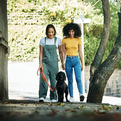 Buy stock photo Love, holding hands and lesbian couple walking with dog in city street for exercise, bonding and fun. Lgbtq, animal and interracial young gay women in town road with pet puppy for fresh air together.