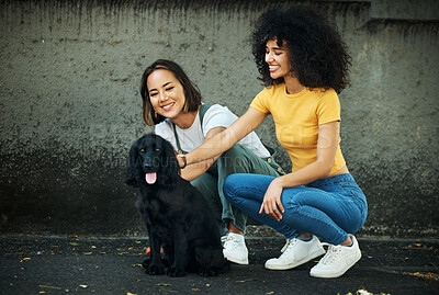 Buy stock photo Love, lgbt and a couple walking their dog together outdoor in the city for training or exercise. Lesbian, smile and a happy woman with her girlfriend to teach their pet cocker spaniel on a leash