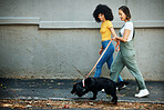 Love, happy and lesbian couple walking with dog in city street for exercise, bonding and fun. Lgbtq, animal and interracial young gay women in urban town road with pet puppy for fresh air together.