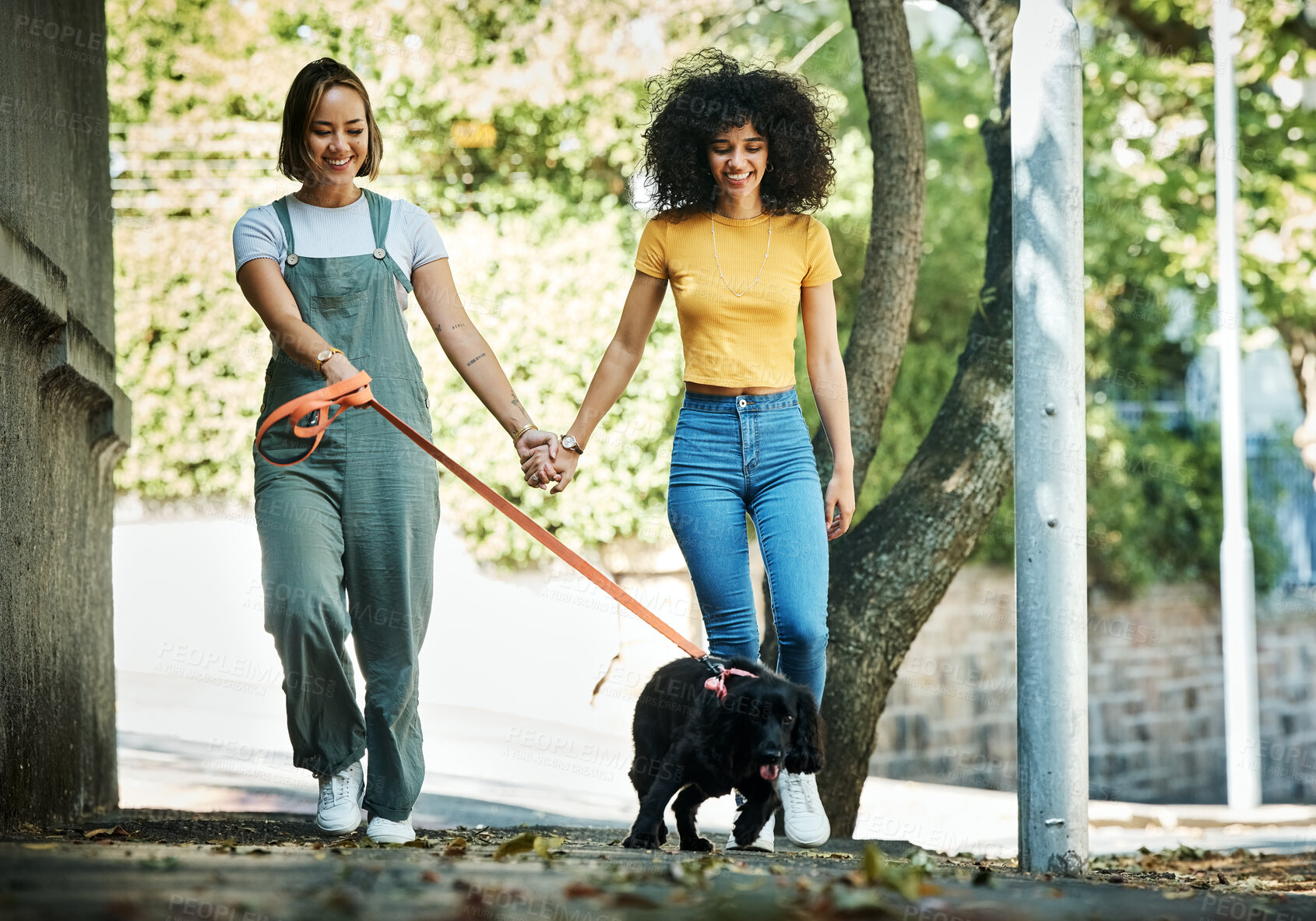 Buy stock photo Happy, holding hands and lesbian couple walking with dog in city street for exercise, bonding and fun. Love, animal and interracial young gay women in town road with pet puppy for fresh air together.