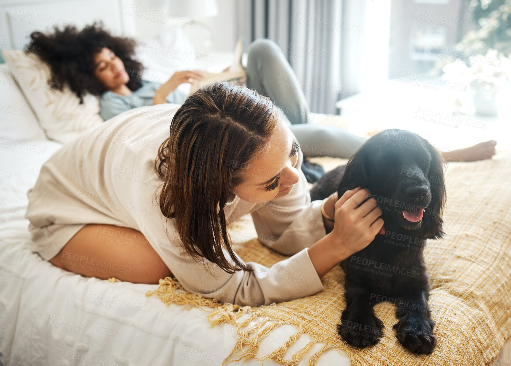 Buy stock photo Dog, bedroom and lesbian couple playing in home, morning and relax together in house. Pet, bed and gay women with animal, bonding and having fun in healthy relationship, love connection and care.