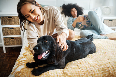 Buy stock photo Pet, bed and happy lesbian couple play in home, morning and relax together in house. Dog, bedroom and gay women with animal, bonding and having fun in healthy relationship, lgbtq connection and care