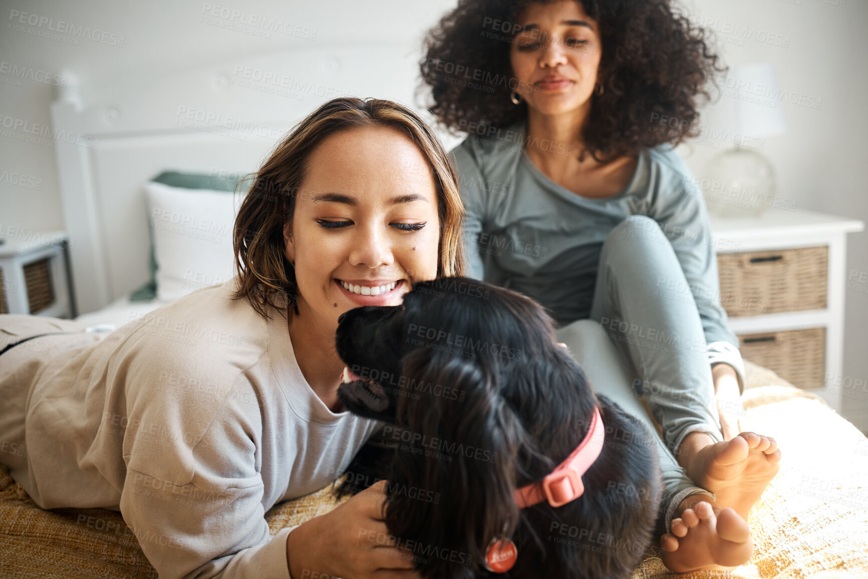 Buy stock photo Dog, bed and happy with lesbian couple and love in home, morning and relax together in healthy relationship, play connection and lgbtq. Pet, bedroom and women with animal, bonding and care in house