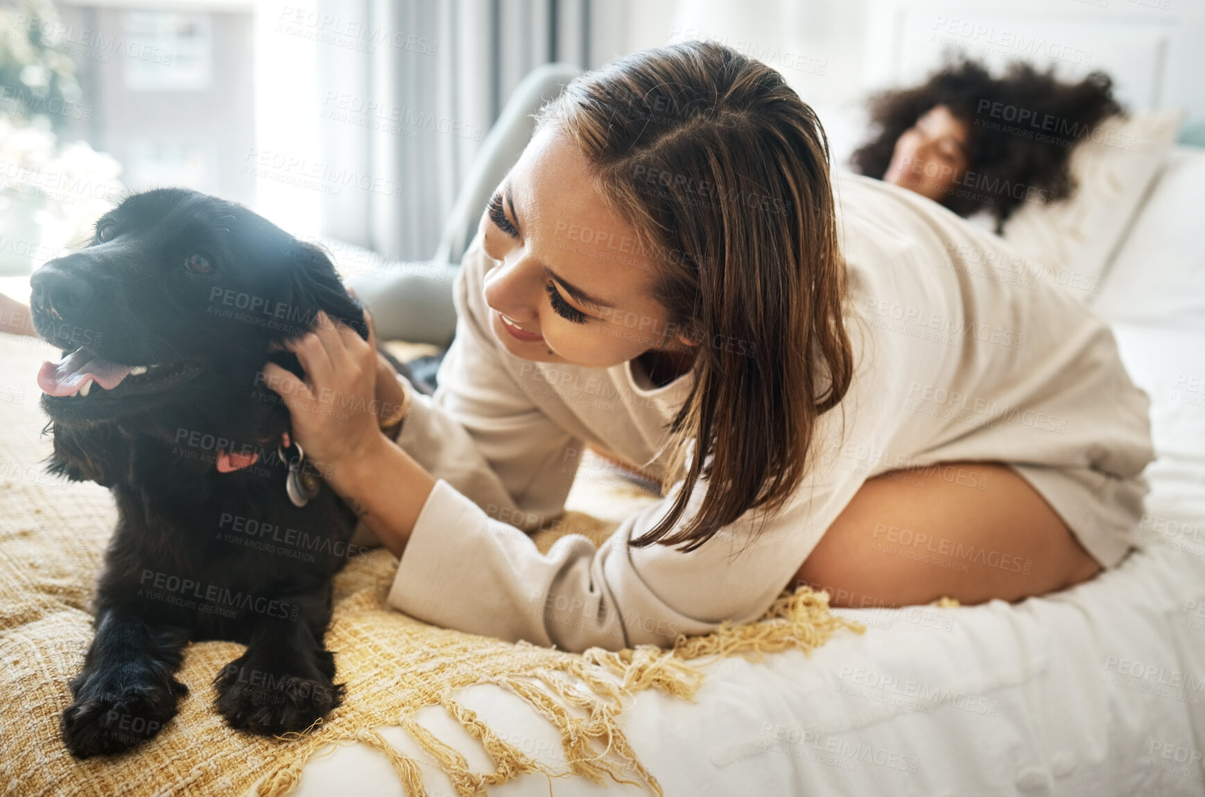 Buy stock photo Dog, bed and happy lesbian couple play in home, morning and relax together in house. Pet, bedroom and gay women with animal, bonding and having fun in healthy relationship, love connection and care