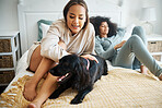 Dog, bed and gay couple play in home, morning and relax together in house. Pet, bedroom and lesbian women with animal sitting, bonding or having fun in healthy relationship, lgbtq connection and care