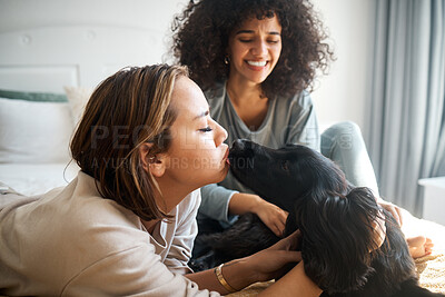 Buy stock photo Dog, bed and gay couple kiss in home, morning and relax together in house. Pet, bedroom and happy lesbian women with animal, bonding and having fun in healthy relationship, love connection and care