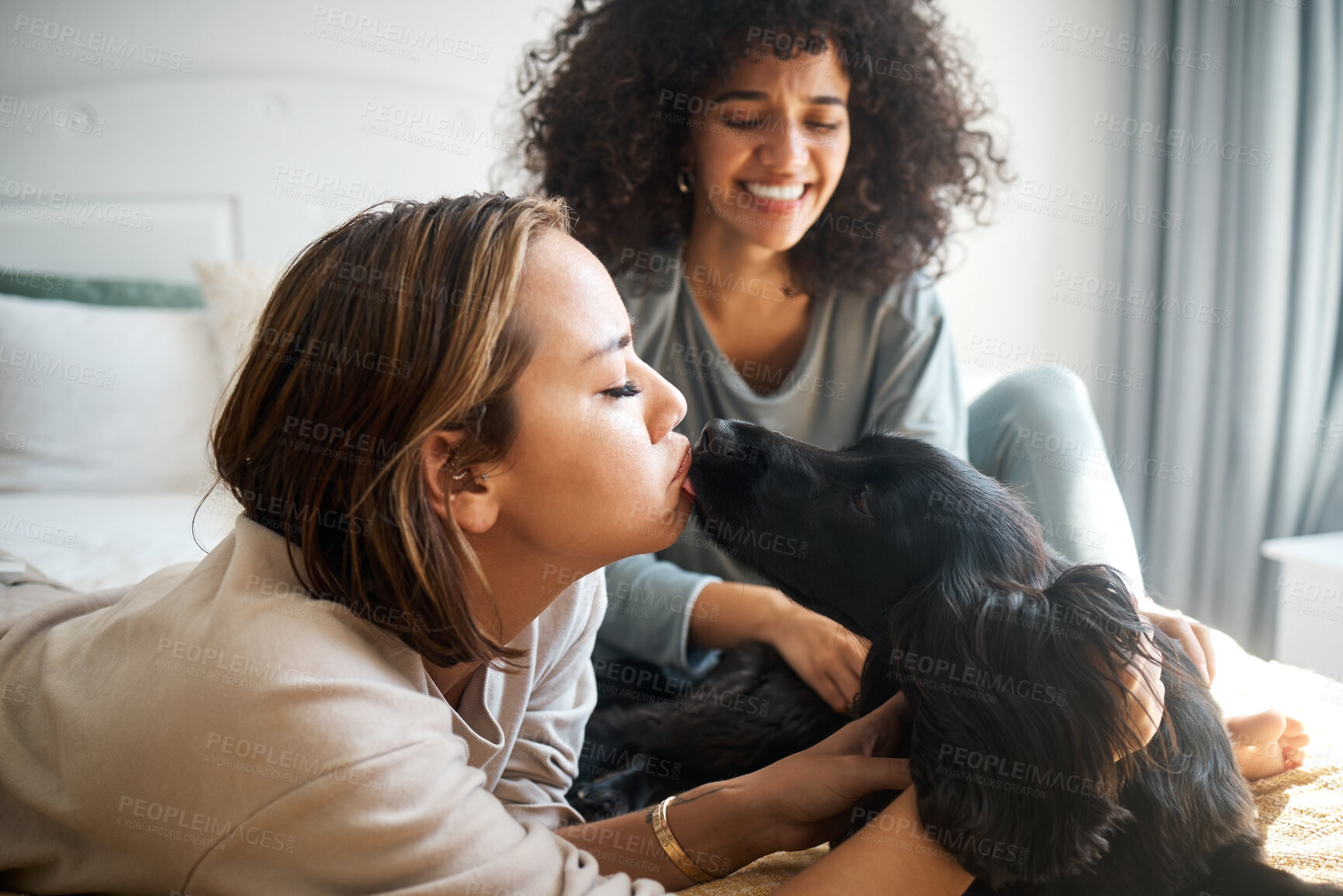 Buy stock photo Dog, bed and gay couple kiss in home, morning and relax together in house. Pet, bedroom and happy lesbian women with animal, bonding and having fun in healthy relationship, love connection and care