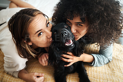 Buy stock photo Portrait, women and dog with kiss on sofa in living room of home for puppy, love and happiness indoor. Labrador, animal and people together on couch with cuddling and care for bonding and loyalty