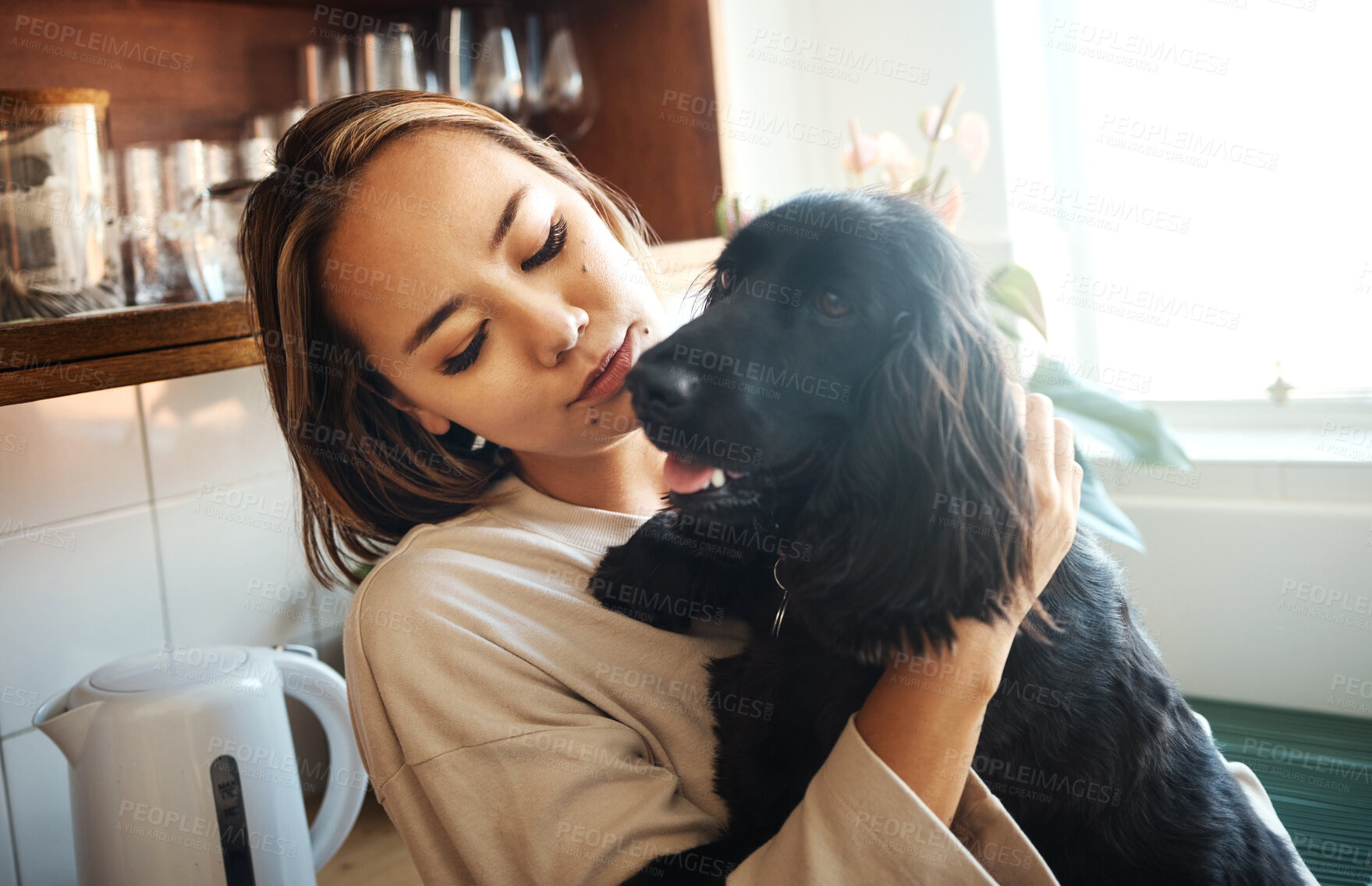 Buy stock photo Love, hug and woman with a dog in home kitchen to relax and play with animal. Pet owner, happiness and asian person playing with companion, care and wellness or friendship in cozy apartment
