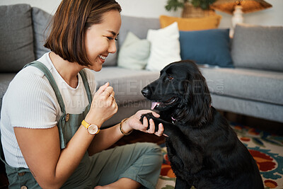 Buy stock photo Love, paw and woman with dog in home lounge to relax and play with animal. Pet owner, happiness and asian person on floor for training companion, care and wellness or friendship in cozy apartment