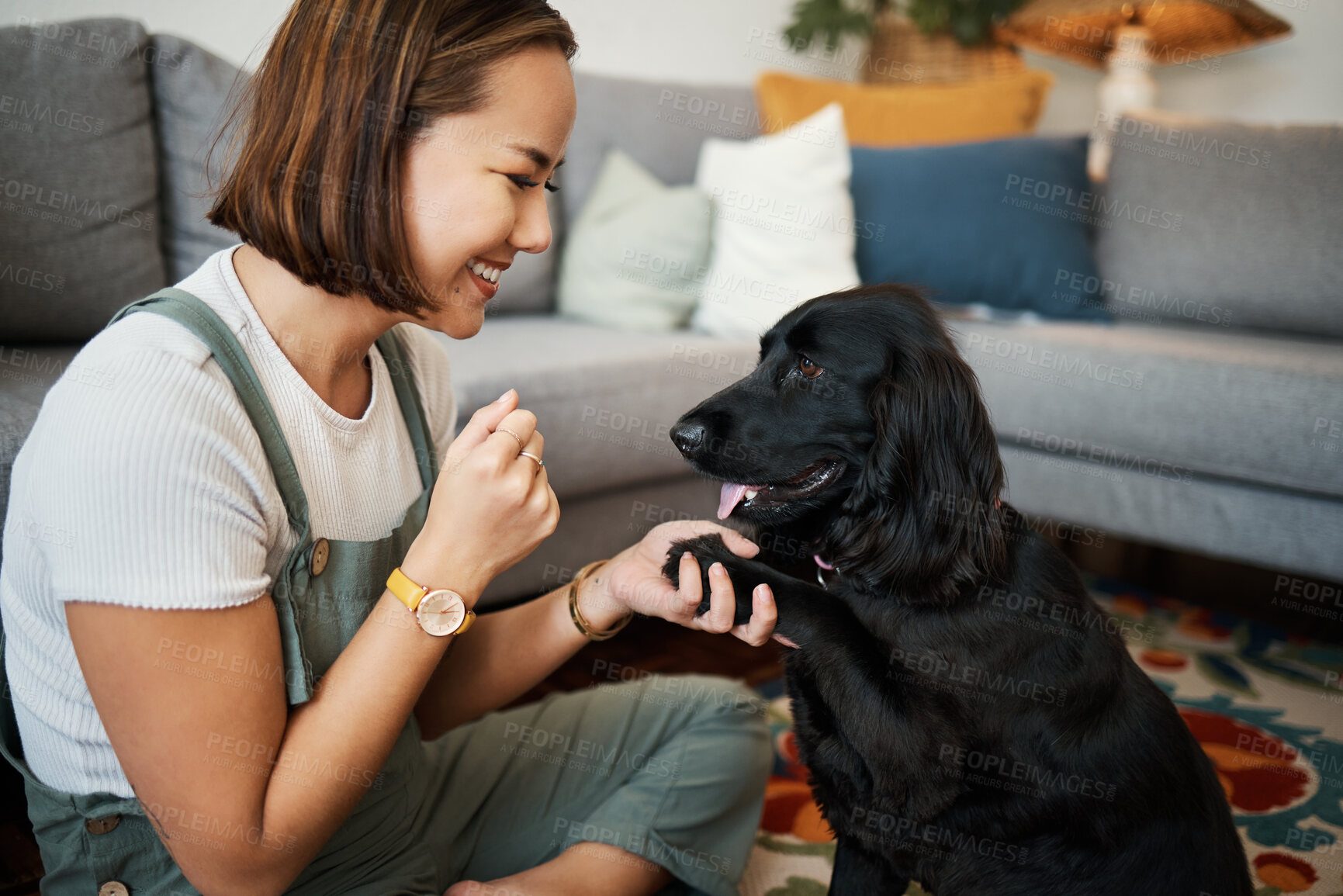 Buy stock photo Love, paw and woman with dog in home lounge to relax and play with animal. Pet owner, happiness and asian person on floor for training companion, care and wellness or friendship in cozy apartment