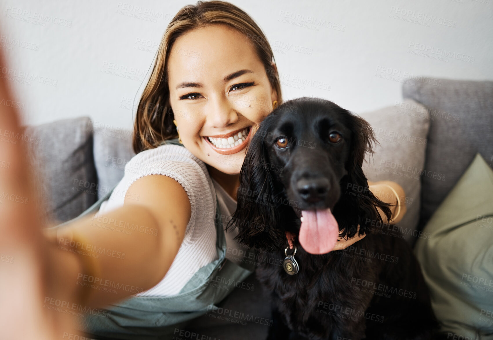 Buy stock photo Selfie, love and woman with dog on home sofa to relax and play with animal. Pet owner, care and asian person influencer with companion, smile and friendship or social media profile picture and memory