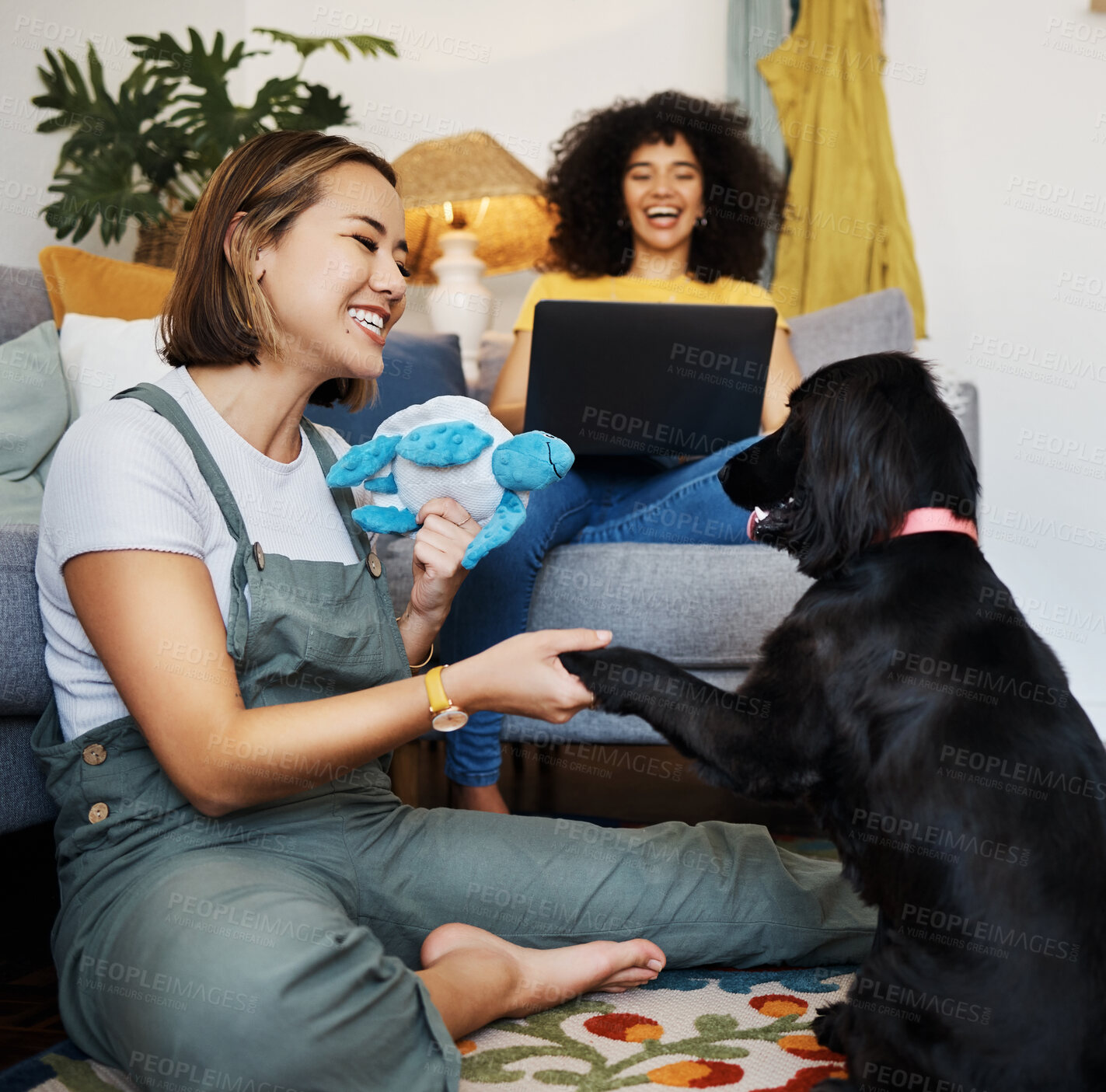 Buy stock photo Home, gay or happy couple with dog in house living room on floor to relax with paw trick, loyalty or love. Teaching pet, handshake or woman playing with an animal with care, support or smile on mat 