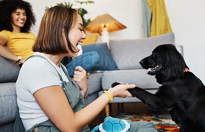 Buy stock photo Play, gay or happy couple with dog in house living room on floor to relax with paw trick, loyalty or love. Teaching, learning or woman playing with an animal with care, support or joy on mat at home