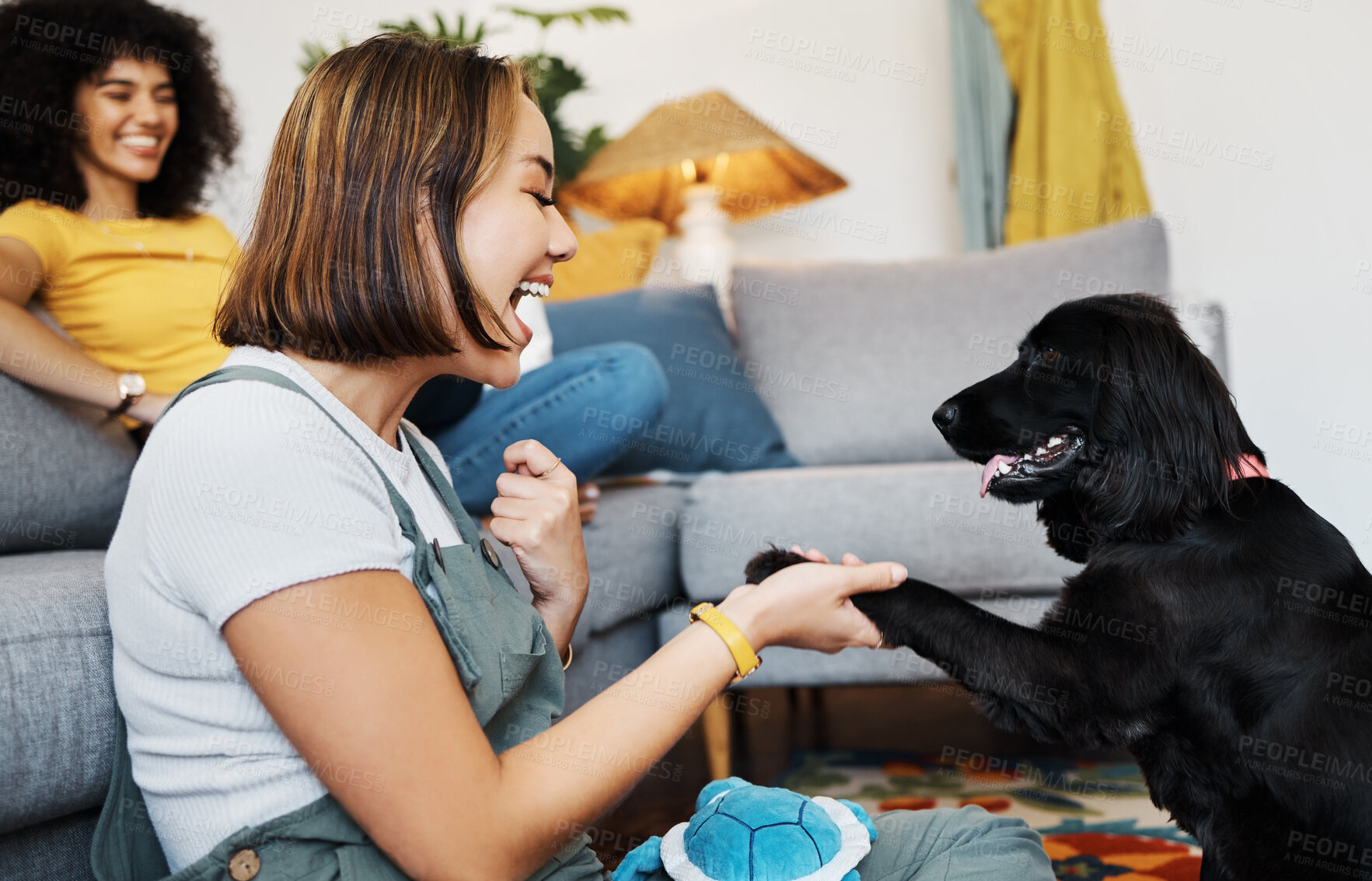 Buy stock photo Play, gay or happy couple with dog in house living room on floor to relax with paw trick, loyalty or love. Teaching, learning or woman playing with an animal with care, support or joy on mat at home