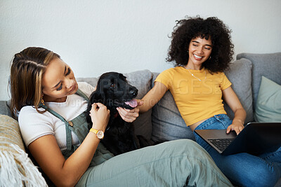 Buy stock photo Dog, laptop or gay couple in home to relax together in healthy relationship love connection. Lgbtq, online or lesbian women with a pet animal to hug, play or bond on living room sofa for remote work