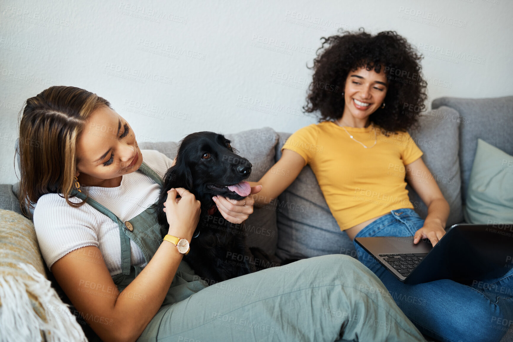 Buy stock photo Dog, laptop or gay couple in home to relax together in healthy relationship love connection. Lgbtq, online or lesbian women with a pet animal to hug, play or bond on living room sofa for remote work