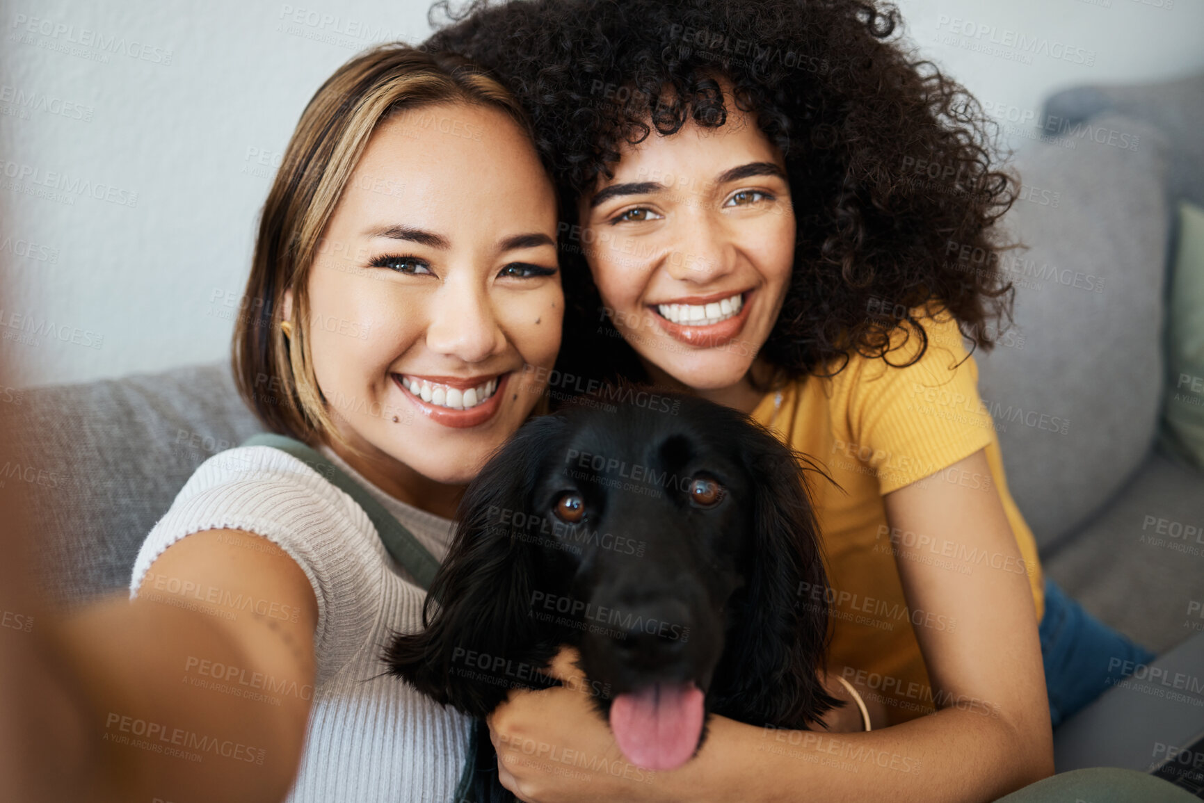 Buy stock photo Dog, portrait or lesbian couple in selfie in home to relax together on social media for profile picture or memory. Lgbtq, pet animal or happy gay women smile in photo with bond or care in living room