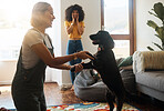 Woman, dance and happy dog in home, living room and teaching or learning a trick in development or growth in apartment. Training, pet and people in house with cocker spaniel, animal or bonding