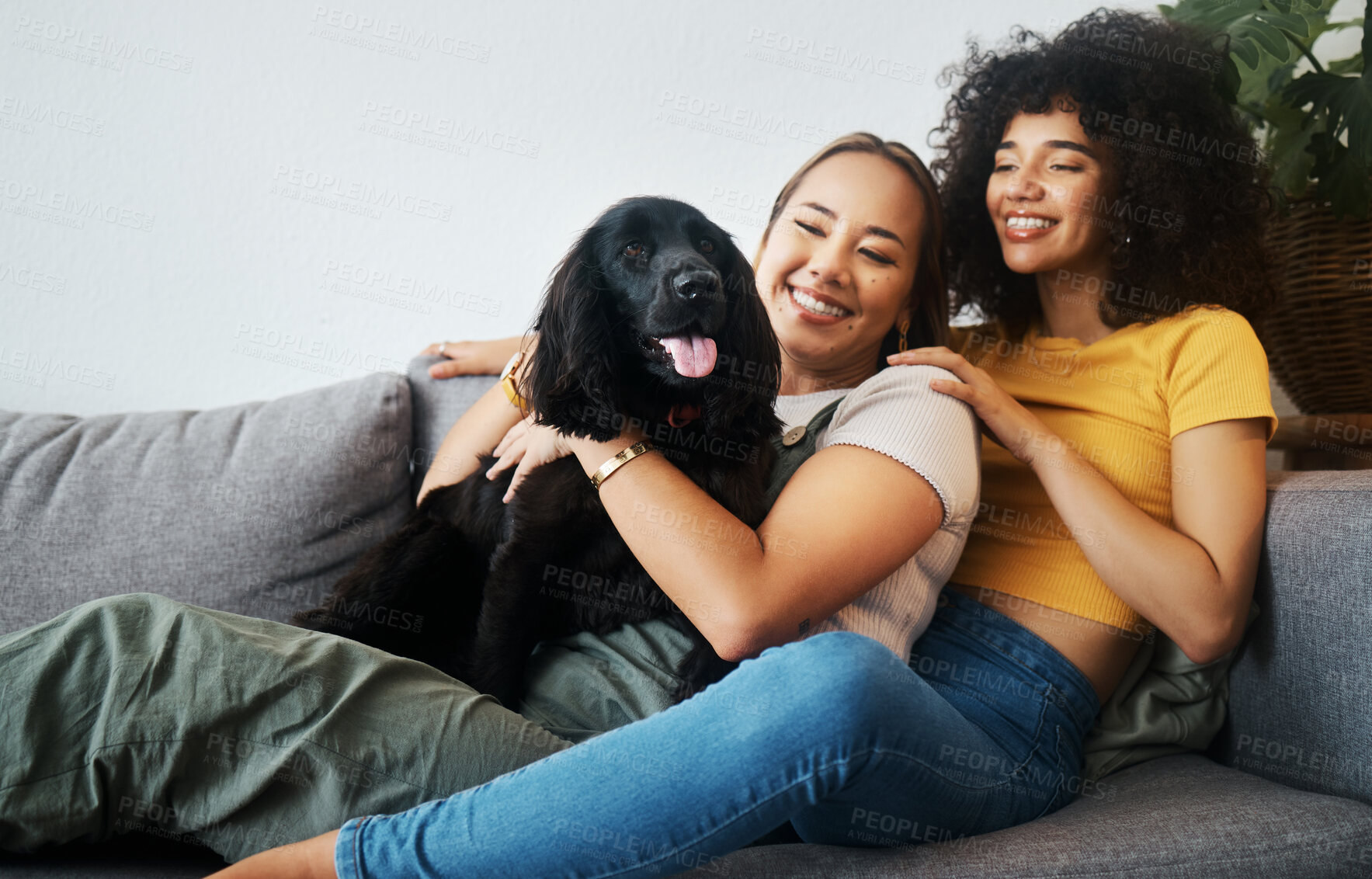 Buy stock photo Dog, sofa or happy gay couple play in home to relax together in healthy relationship or love connection. Lgbtq, pet or lesbian women smile with animal, bond or care in house living room on couch