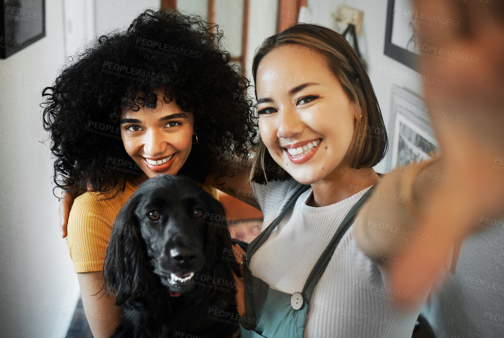 Buy stock photo Smile, selfie and portrait of lesbian couple with dog in modern apartment bonding together. Love, happy and interracial young lgbtq women taking a picture and holding animal pet puppy at home.