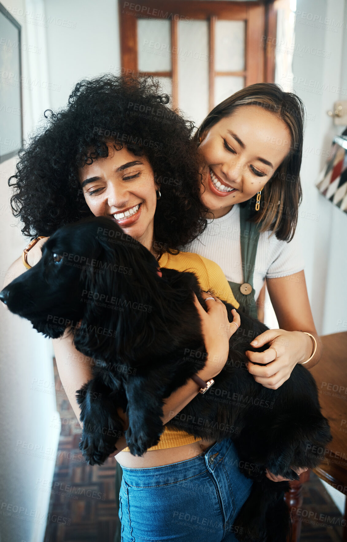 Buy stock photo Happy, smile and lesbian couple holding dog in modern apartment for bonding together. Love, family and interracial young lgbtq women hugging and embracing their sweet animal pet puppy at home.