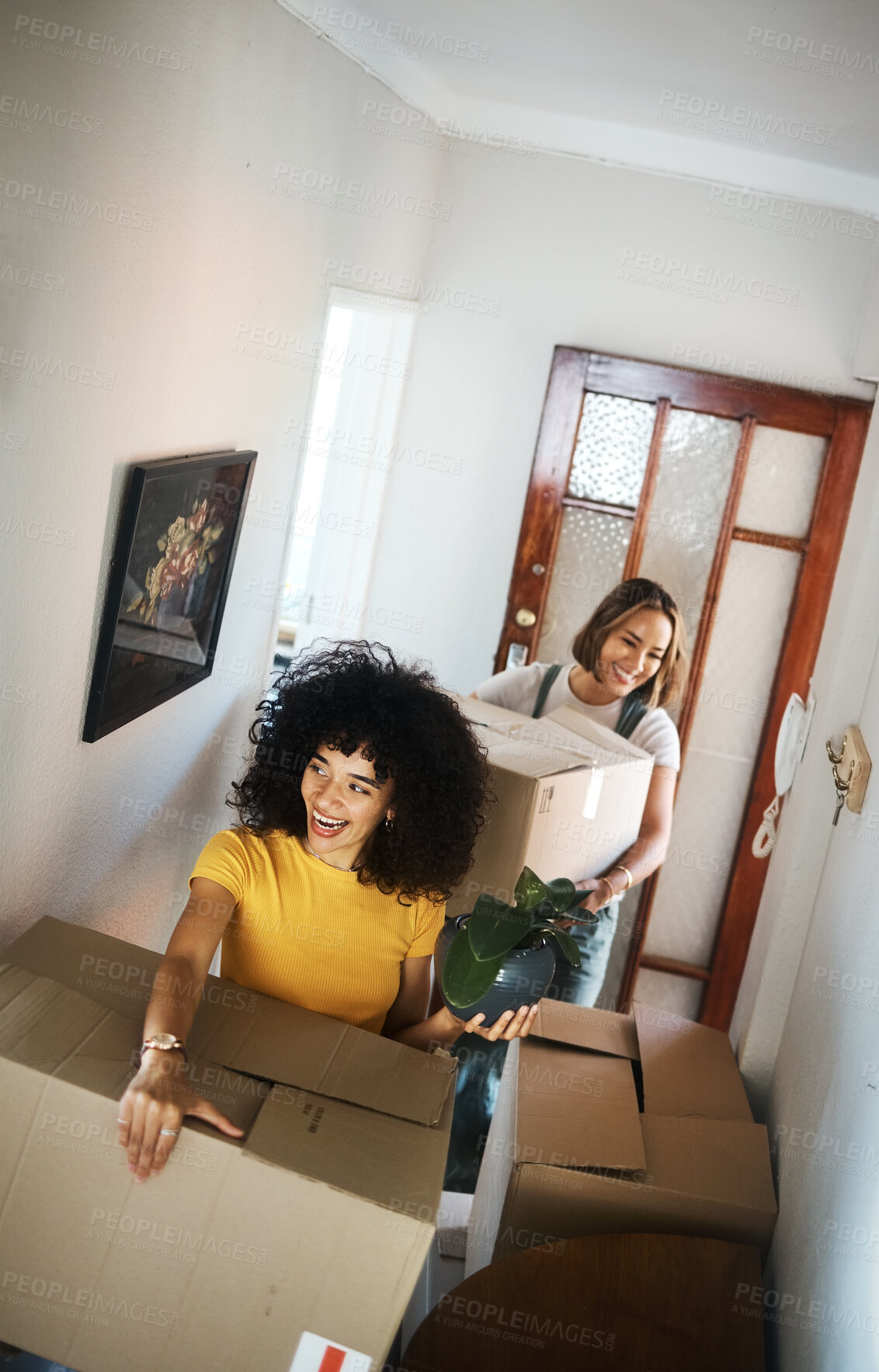 Buy stock photo Boxes, homeowner and couple with love, lesbian or moving with real estate, achievement or excited. Queer people, happy women or girls with marriage, goals or new apartment with happiness or property 