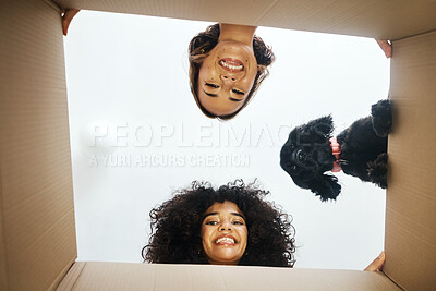 Buy stock photo Portrait, happy and lesbian couple with dog and box for moving, unpacking or a new house from below. Love, home and lgbt women with pet and package for packing, real estate or relocation to apartment