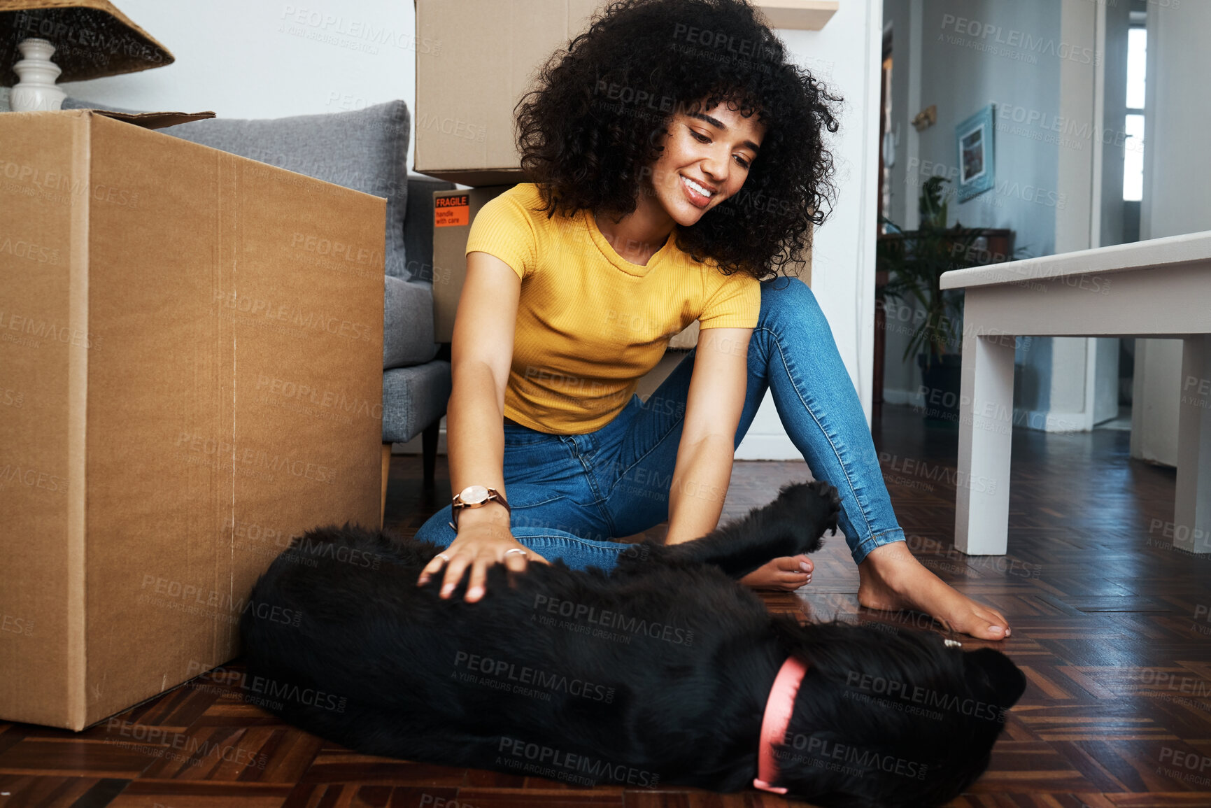 Buy stock photo New home, box and woman on the floor with dog in real estate, flat or moving, loan or housing. Mortgage, investment and female  on floor with property, smile and satisfied with pet friendly apartment