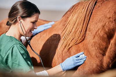 Woman vet, stethoscope and horse farm with wellness, healthcare and support with animal in countryside. Nurse, trust and helping with heart rate and monitoring outdoor with a smile from nursing