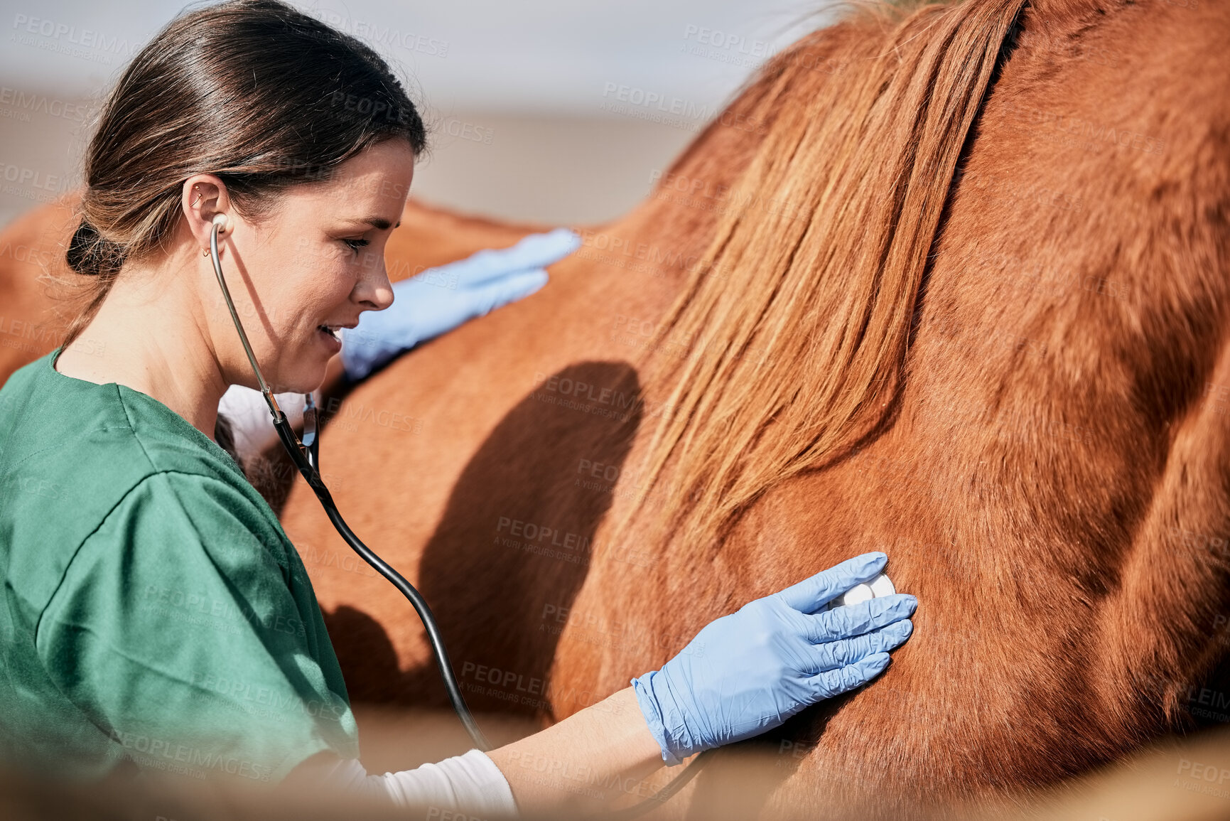 Buy stock photo Woman vet, stethoscope and horse farm with wellness, healthcare and support with animal in countryside. Nurse, trust and helping with heart rate and monitoring outdoor with a smile from nursing