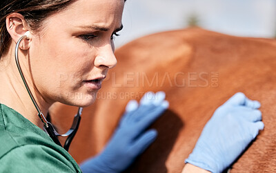 Buy stock photo Vet, stethoscope and horse with wellness, healthcare and support with animal in countryside. Woman helping with heart rate and monitoring outdoor with stress and anxiety from veterinarian inspection