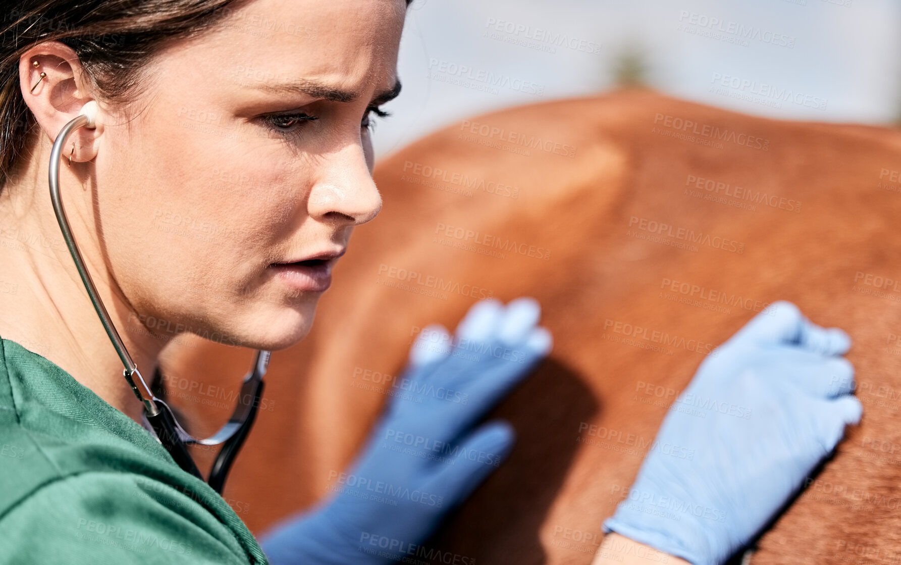 Buy stock photo Vet, stethoscope and horse with wellness, healthcare and support with animal in countryside. Woman helping with heart rate and monitoring outdoor with stress and anxiety from veterinarian inspection