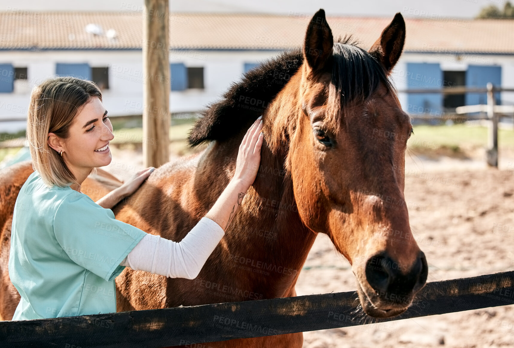 Buy stock photo Horse doctor, care and smile at farm for health, care or happy with love for animal in nature. Vet, woman and stroke for equine healthcare expert in sunshine, countryside or help for wellness outdoor