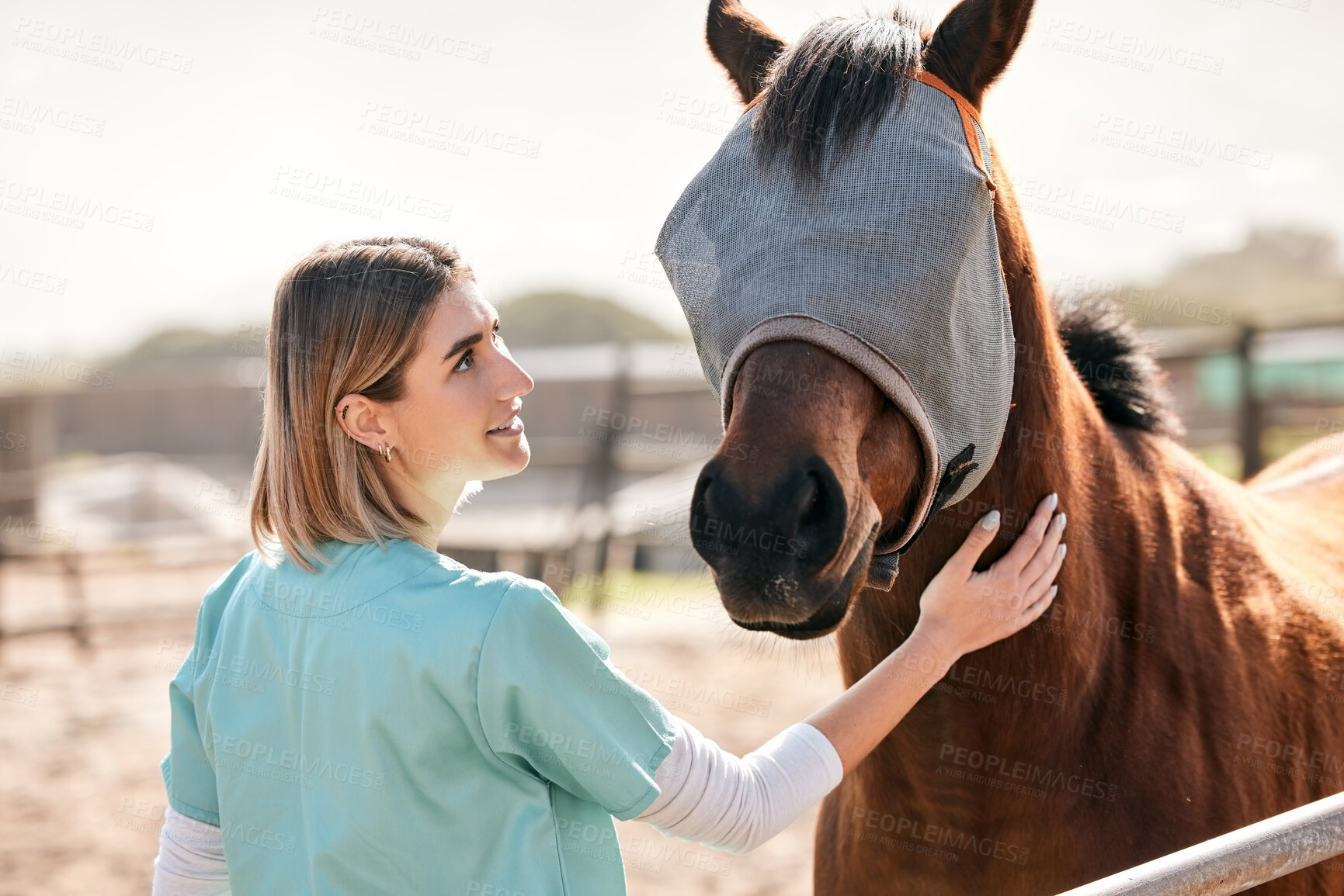 Buy stock photo Vet, doctor and woman with horse on ranch for medical examination, research and health check. Healthcare, animal care and happy person on farm for inspection, wellness and veterinary treatment