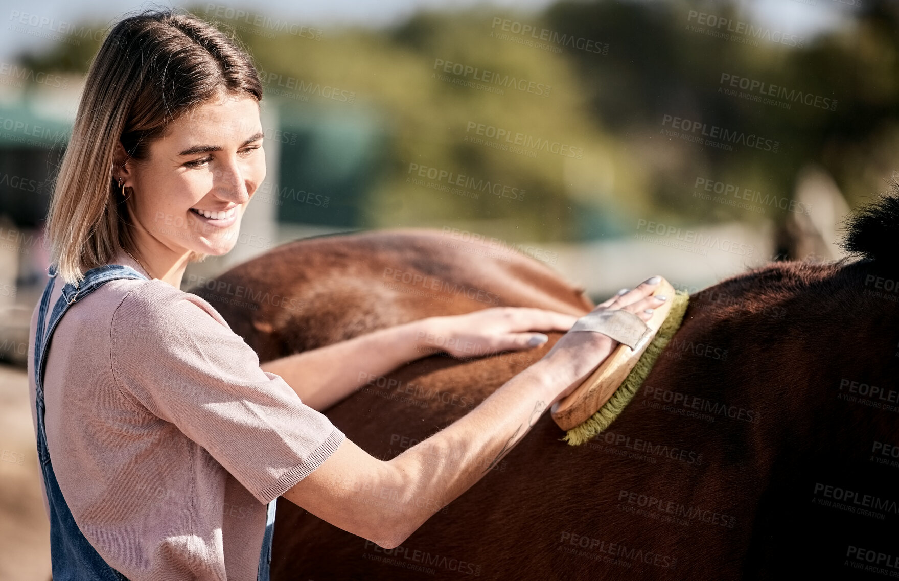 Buy stock photo Horse, grooming and woman with brush on ranch for animal care, farm pet and cleaning in countryside. Farming, happy and person with stallion brushing mane for wellness, healthy livestock and hygiene