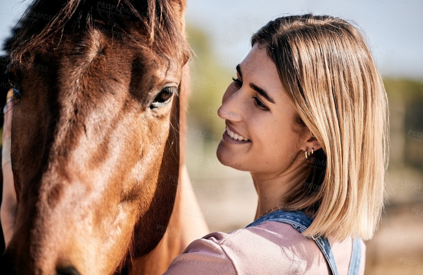 Buy stock photo Face, smile for equestrian and a woman with her horse on a ranch for sports training, hobby or recreation. Fitness, stable and a happy young rider with her animal outdoor on a course for practice