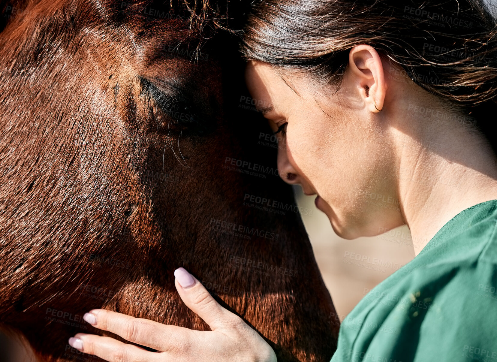 Buy stock photo Pet, doctor and woman with care for horse for medical examination, research and health check. Healthcare, nurse and happy person on farm for inspection, wellness and veterinary treatment on ranch