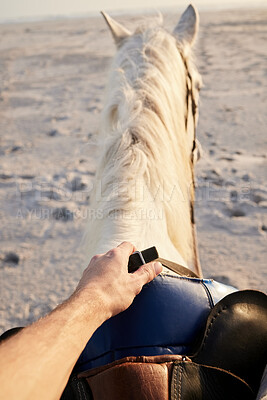 Concerned Horse - Stock Image - Everypixel